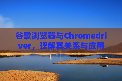 谷歌浏览器与Chromedriver，理解其关系与应用